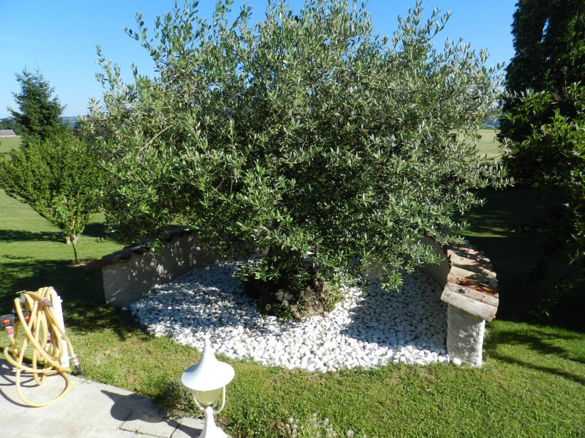 Bed and Breakfast L'Alivu Couches Exterior foto